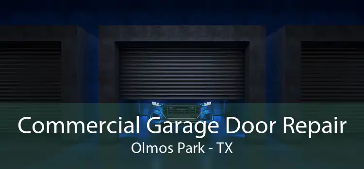 Commercial Garage Door Repair Olmos Park - TX