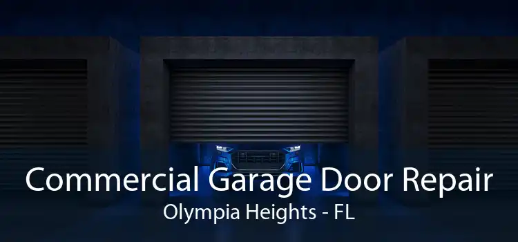 Commercial Garage Door Repair Olympia Heights - FL