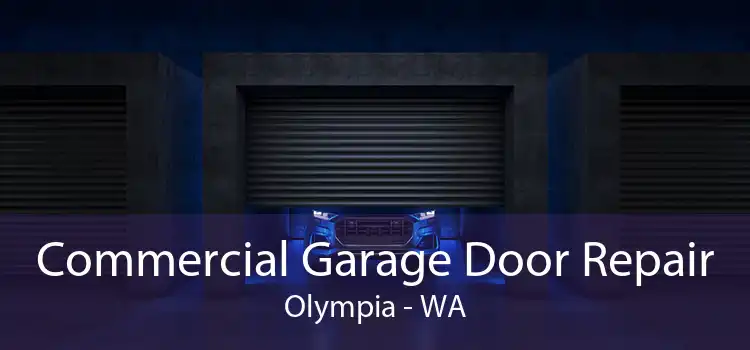 Commercial Garage Door Repair Olympia - WA