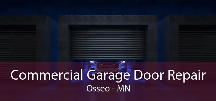 Commercial Garage Door Repair Osseo - MN