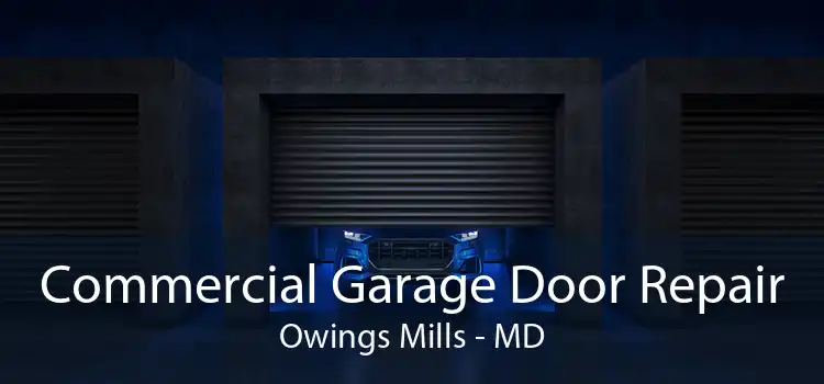 Commercial Garage Door Repair Owings Mills - MD