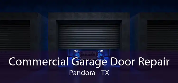 Commercial Garage Door Repair Pandora - TX