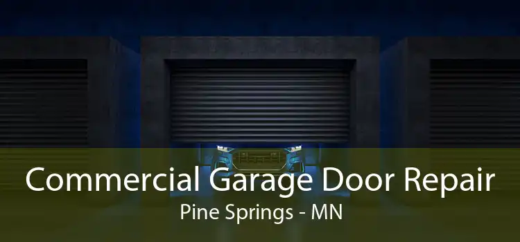Commercial Garage Door Repair Pine Springs - MN