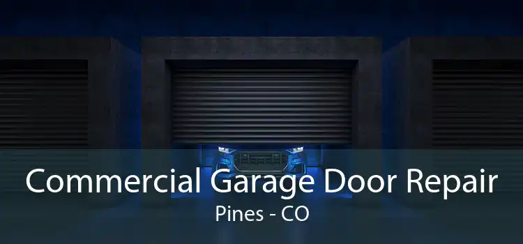 Commercial Garage Door Repair Pines - CO