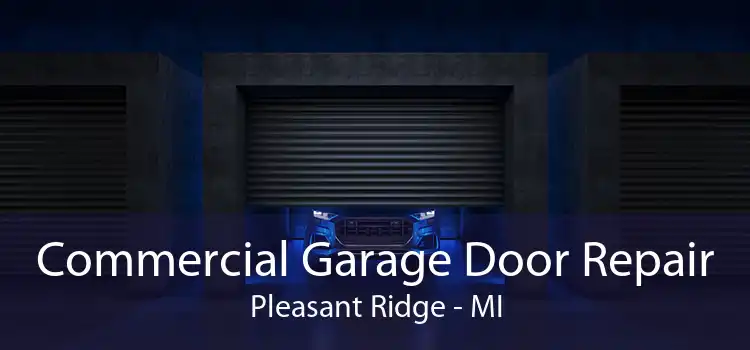 Commercial Garage Door Repair Pleasant Ridge - MI