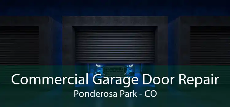 Commercial Garage Door Repair Ponderosa Park - CO