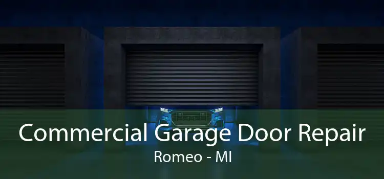Commercial Garage Door Repair Romeo - MI