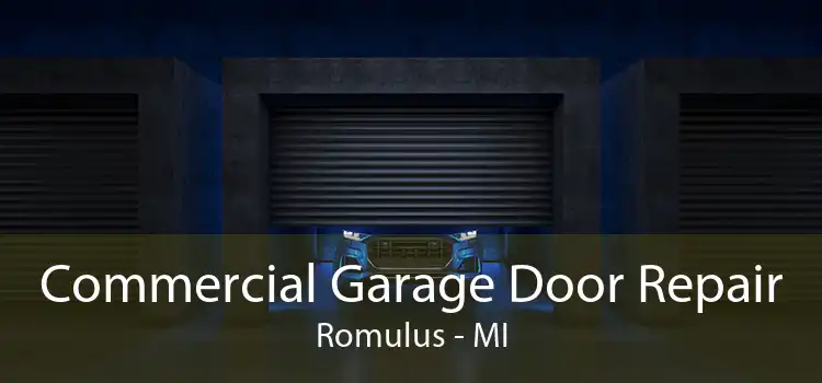 Commercial Garage Door Repair Romulus - MI