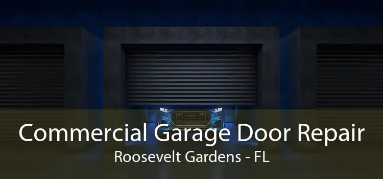 Commercial Garage Door Repair Roosevelt Gardens - FL