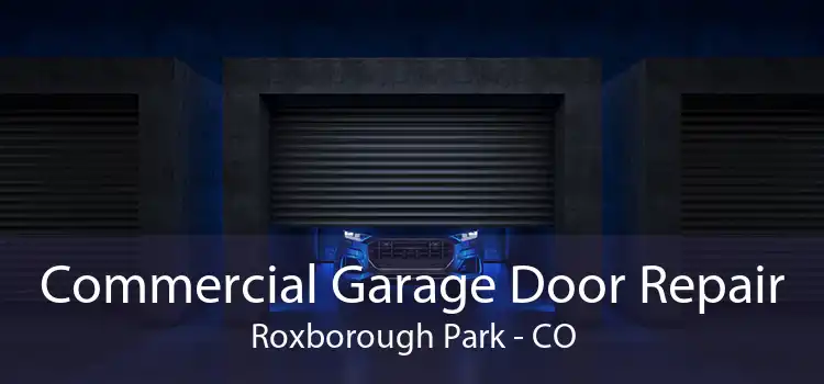 Commercial Garage Door Repair Roxborough Park - CO