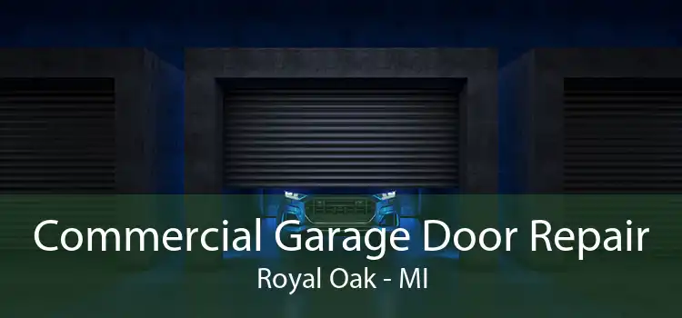 Commercial Garage Door Repair Royal Oak - MI