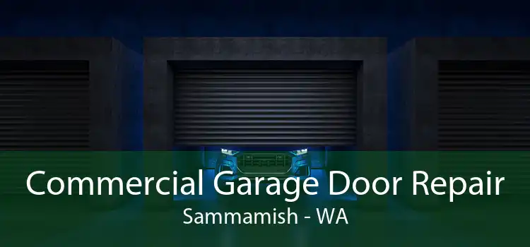 Commercial Garage Door Repair Sammamish - WA