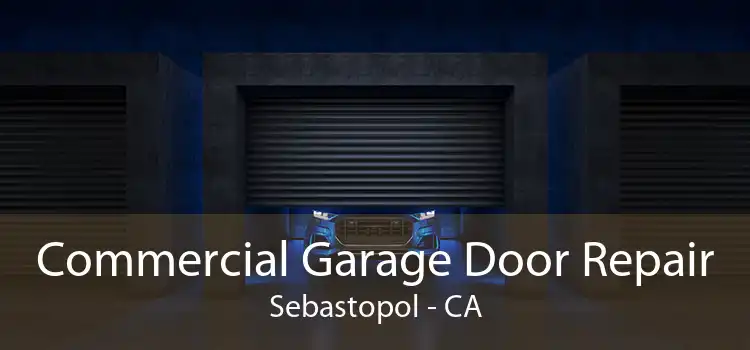 Commercial Garage Door Repair Sebastopol - CA