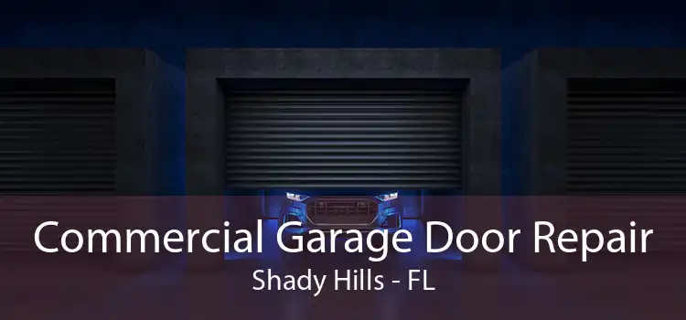 Commercial Garage Door Repair Shady Hills - FL