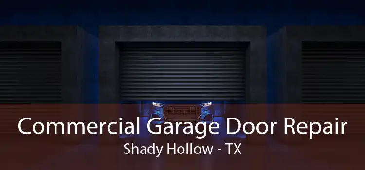 Commercial Garage Door Repair Shady Hollow - TX