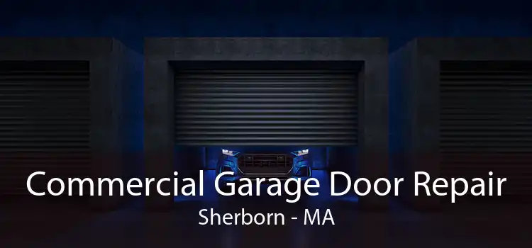 Commercial Garage Door Repair Sherborn - MA