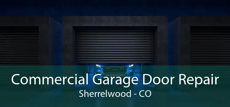 Commercial Garage Door Repair Sherrelwood - CO
