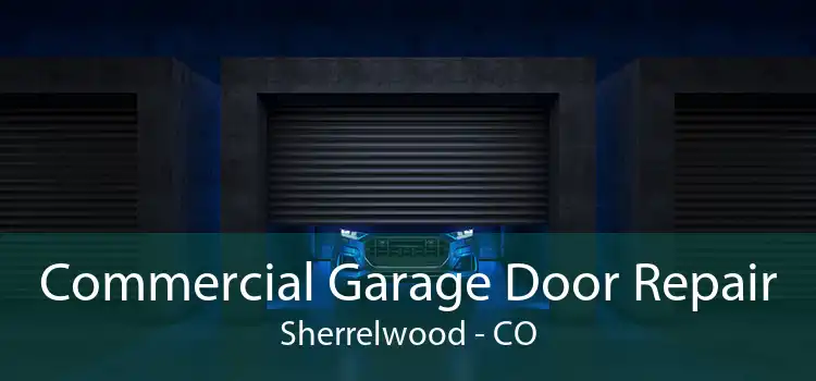  Commercial Garage Door Repair Sherrelwood - CO