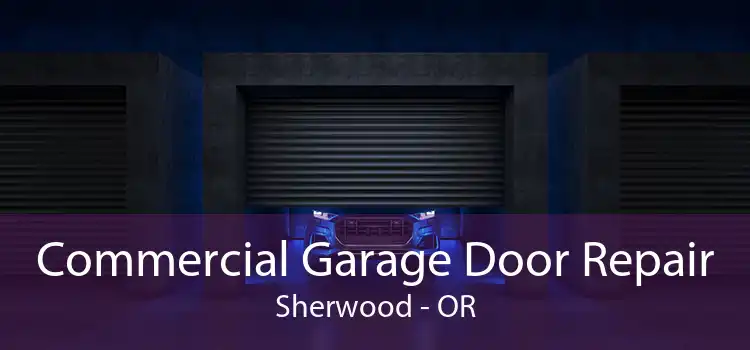 Commercial Garage Door Repair Sherwood - OR