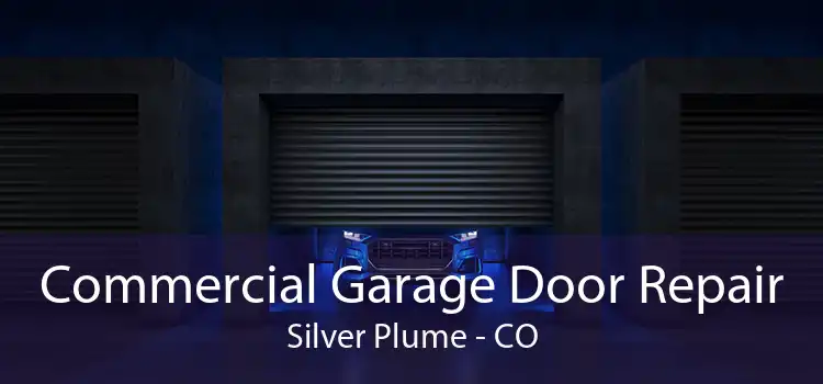 Commercial Garage Door Repair Silver Plume - CO