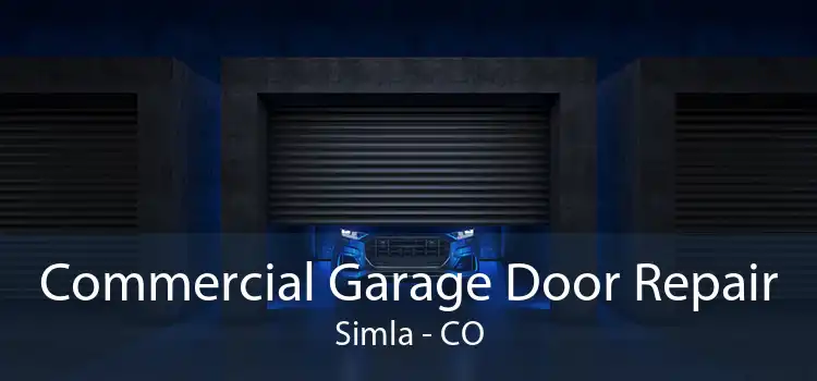 Commercial Garage Door Repair Simla - CO