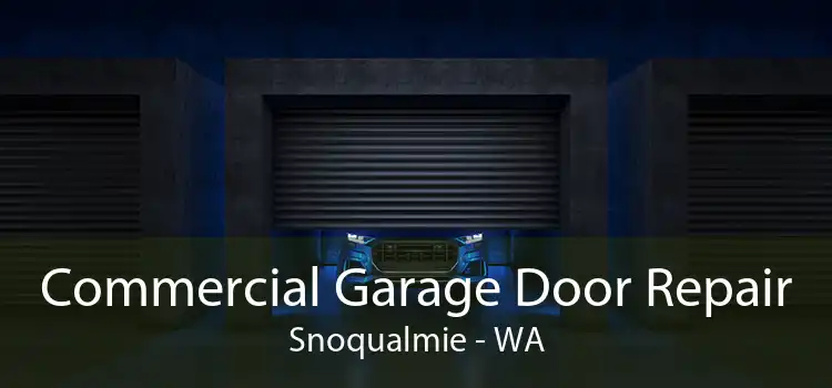Commercial Garage Door Repair Snoqualmie - WA