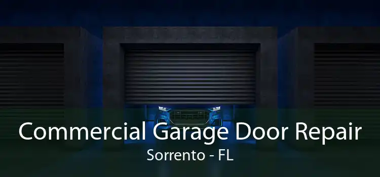 Commercial Garage Door Repair Sorrento - FL