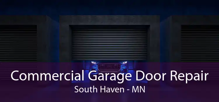 Commercial Garage Door Repair South Haven - MN