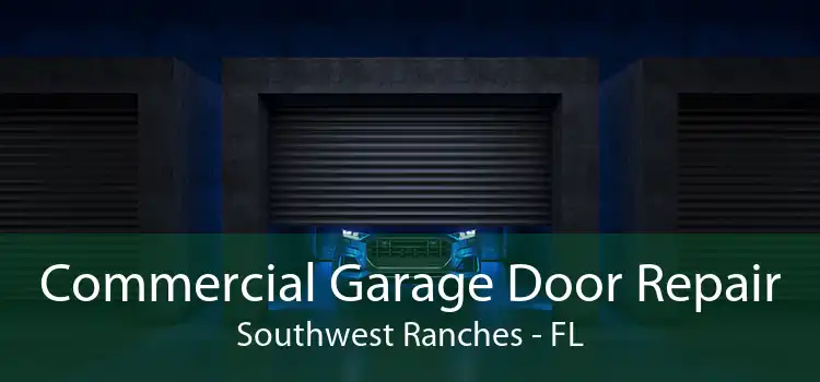 Commercial Garage Door Repair Southwest Ranches - FL