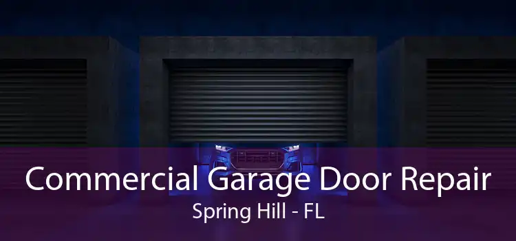 Commercial Garage Door Repair Spring Hill - FL