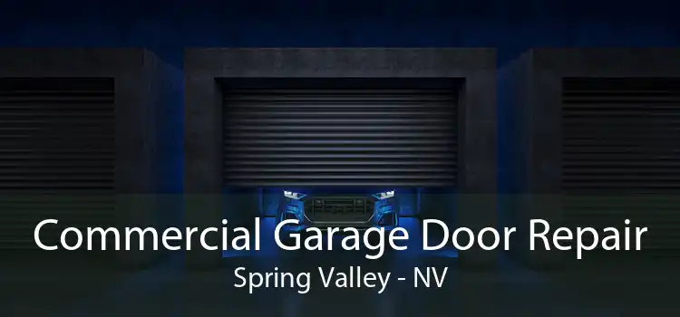 Commercial Garage Door Repair Spring Valley - NV