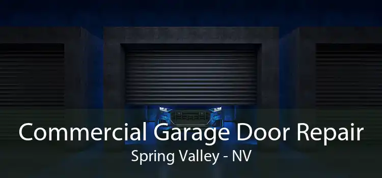  Commercial Garage Door Repair Spring Valley - NV