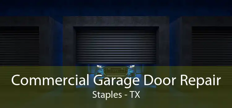 Commercial Garage Door Repair Staples - TX