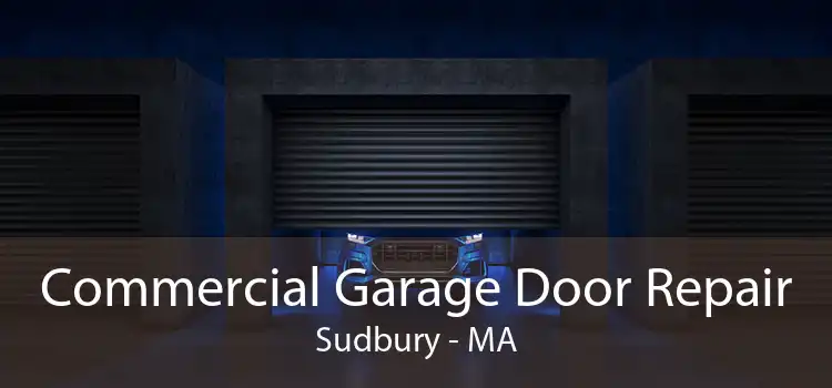 Commercial Garage Door Repair Sudbury - MA
