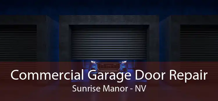Commercial Garage Door Repair Sunrise Manor - NV