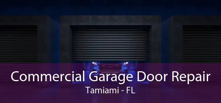 Commercial Garage Door Repair Tamiami - FL