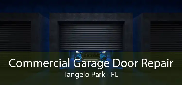 Commercial Garage Door Repair Tangelo Park - FL