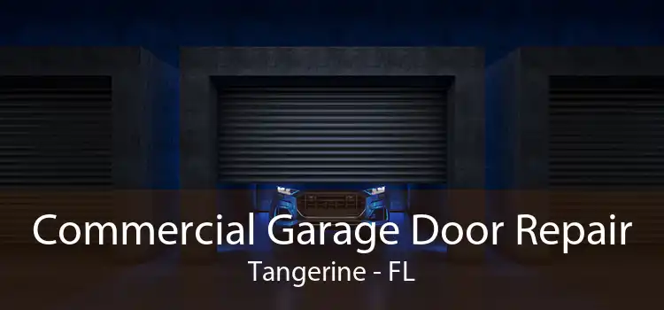  Commercial Garage Door Repair Tangerine - FL