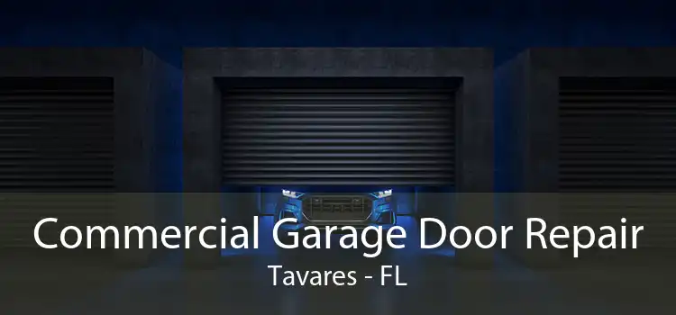 Commercial Garage Door Repair Tavares - FL