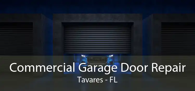  Commercial Garage Door Repair Tavares - FL