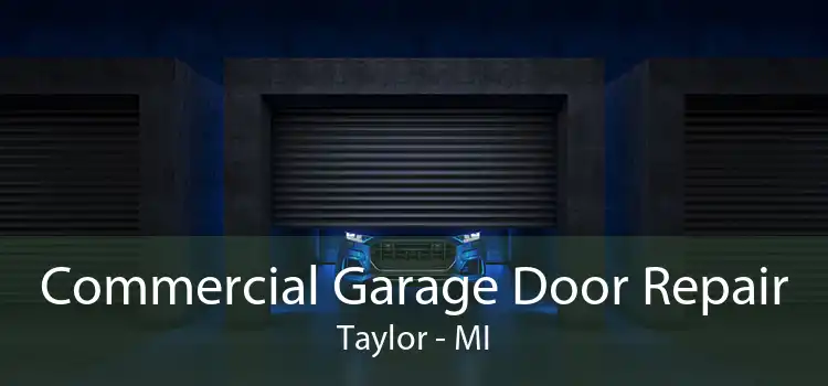 Commercial Garage Door Repair Taylor - MI