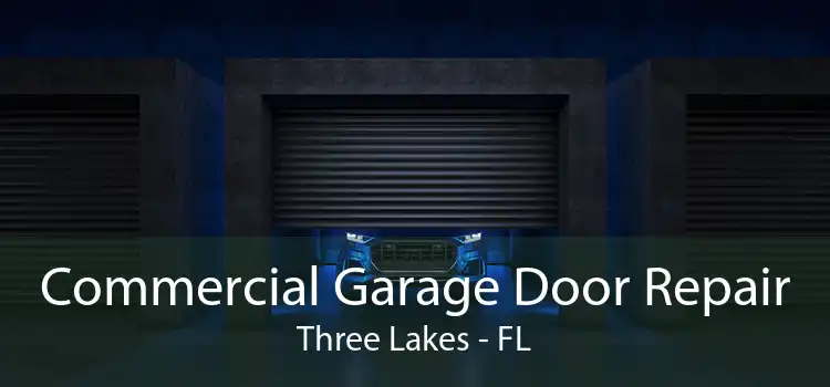 Commercial Garage Door Repair Three Lakes - FL
