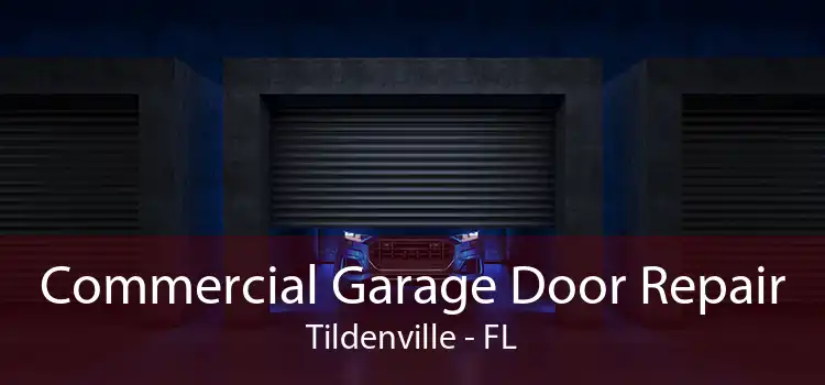 Commercial Garage Door Repair Tildenville - FL