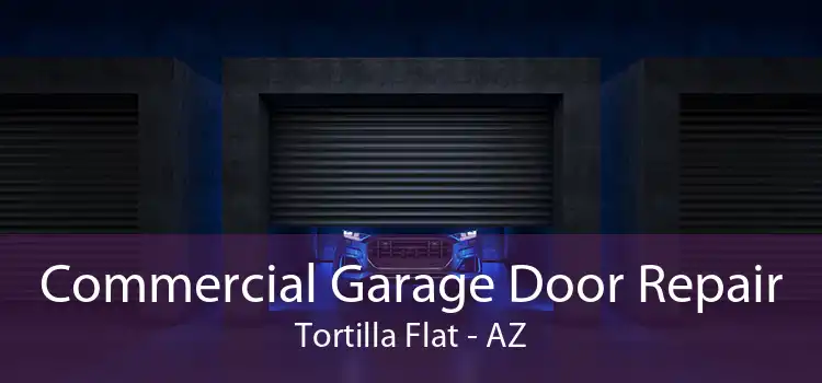 Commercial Garage Door Repair Tortilla Flat - AZ