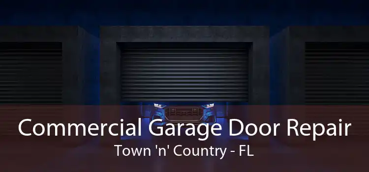 Commercial Garage Door Repair Town 'n' Country - FL