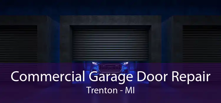Commercial Garage Door Repair Trenton - MI