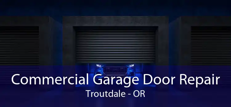 Commercial Garage Door Repair Troutdale - OR
