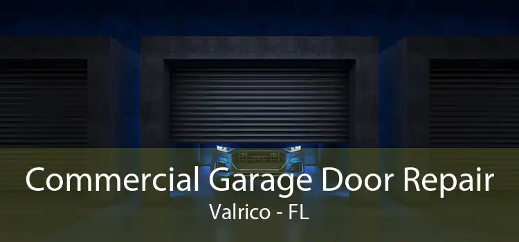 Commercial Garage Door Repair Valrico - FL