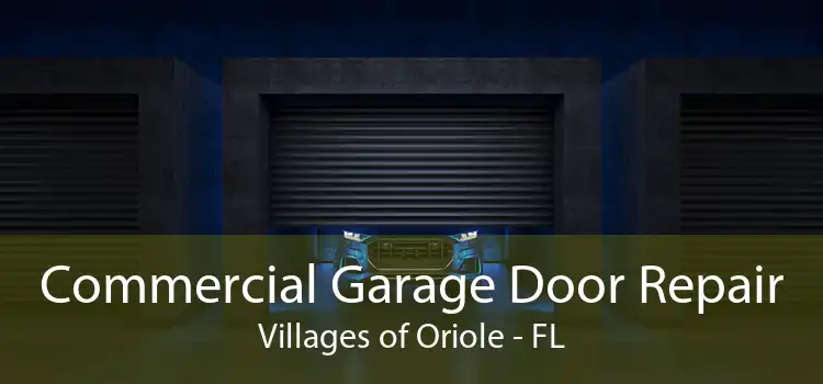 Commercial Garage Door Repair Villages of Oriole - FL