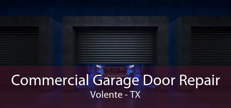 Commercial Garage Door Repair Volente - TX